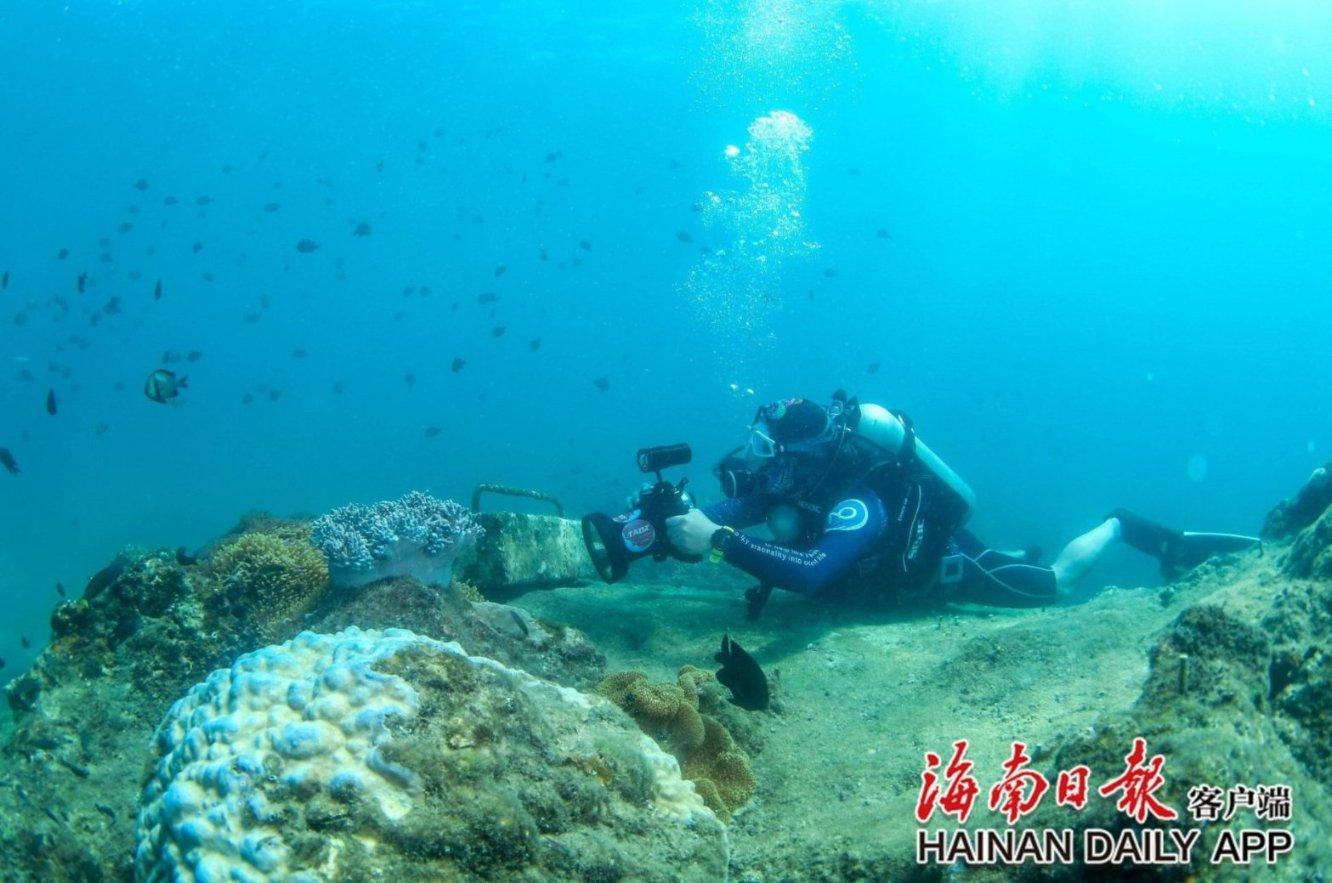 喜讯 | 宜臣家居获颁“设计师推荐品牌”荣誉